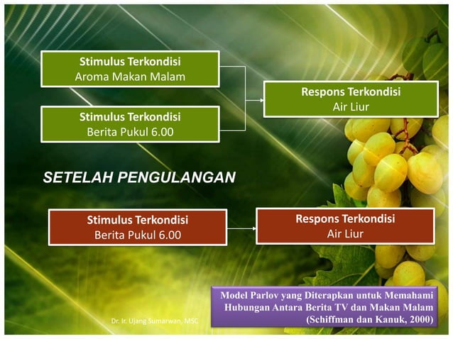 Bisnis Online: Akselerator Belajar Konsumen di Era Digital?