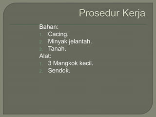 Bahan:
1. Cacing.
2. Minyak jelantah.
3. Tanah.
Alat:
1. 3 Mangkok kecil.
2. Sendok.
 