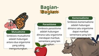 Rem Rantai Interaksi Komponen Biotik dan Abiotik dalam Ekosistem: Rantai Makanan ...