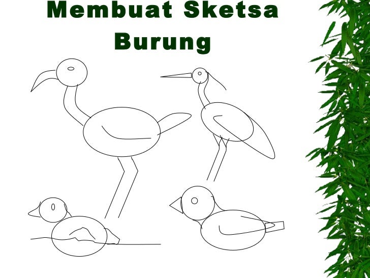 Presentasi Pengamatan Burung