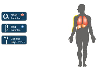 [Presentasi] Penggunaan dan Bahaya Radioisotop | PDF