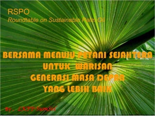 RSPO
 Roundtable on Sustainable Palm Oil




BERSAMA MENUJU PETANI SEJAHTERA
        UNTUK WARISAN
     GENERASI MASA DEPAN
        YANG LEBIH BAIK
By. LKPP-SumSel
 