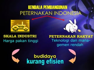 KENDALA PEMBANGUNAN PETERNAKAN INDONESIA Harga pakan tinggi SKALA INDUSTRI PETERNAKAN RAKYAT Teknologi dan mana- gemen rendah   kurang efisien budidaya  