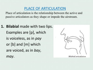 presentasion_phonetics_and_phonology.ppt