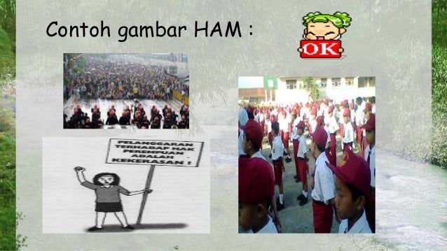 Presentasi pkn HAM