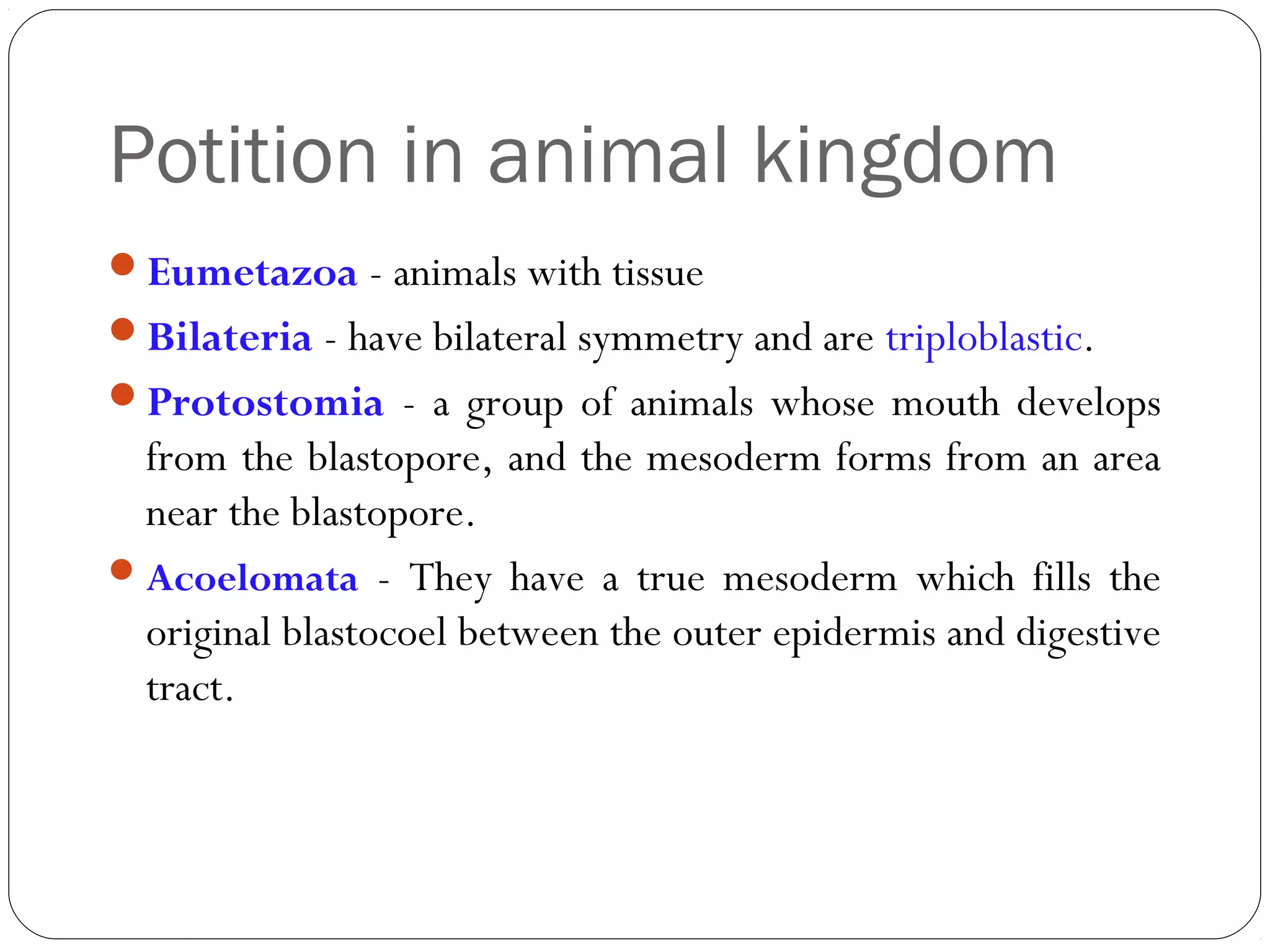 Potition in animal kingdom
Eumetazoa - animals with tissue
Bilateria - have bilateral symmetry and are triploblastic.
Protostomia - a group of animals whose mouth develops

from the blastopore, and the mesoderm forms from an area
near the blastopore.
 Acoelomata - They have a true mesoderm which fills the
original blastocoel between the outer epidermis and digestive
tract.

 