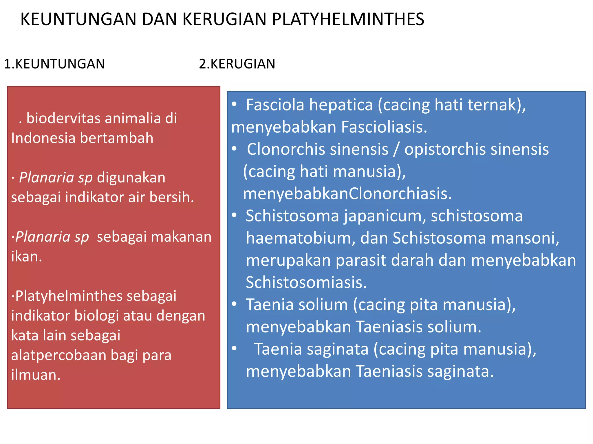 KEUNTUNGAN DAN KERUGIAN PLATYHELMINTHES
1.KEUNTUNGAN
. biodervitas animalia di
Indonesia bertambah
· Planaria sp digunakan
sebagai indikator air bersih.
·Planaria sp sebagai makanan
ikan.
·Platyhelminthes sebagai
indikator biologi atau dengan
kata lain sebagai
alatpercobaan bagi para
ilmuan.
2.KERUGIAN
• Fasciola hepatica (cacing hati ternak),
menyebabkan Fascioliasis.
• Clonorchis sinensis / opistorchis sinensis
(cacing hati manusia),
menyebabkanClonorchiasis.
• Schistosoma japanicum, schistosoma
haematobium, dan Schistosoma mansoni,
merupakan parasit darah dan menyebabkan
Schistosomiasis.
• Taenia solium (cacing pita manusia),
menyebabkan Taeniasis solium.
• Taenia saginata (cacing pita manusia),
menyebabkan Taeniasis saginata.
 