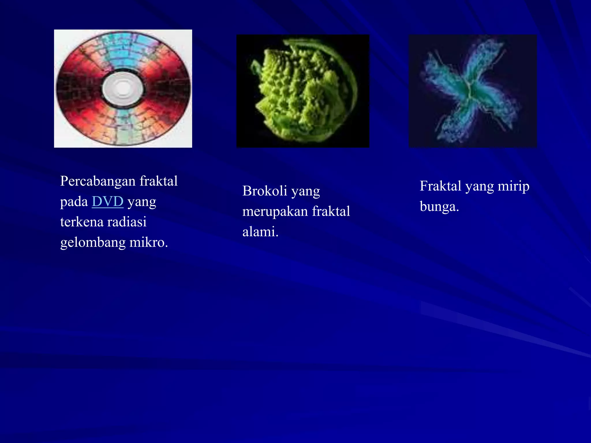 Percabangan fraktal
pada DVD yang
terkena radiasi
gelombang mikro.
Brokoli yang
merupakan fraktal
alami.
Fraktal yang mirip
bunga.
 