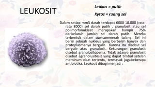 LEUKOSIT
Dalam setiap mm3 darah terdapat 6000-10.000 (rata-
rata 8000) sel darah putih . granulosit atau sel
polimorfonukleat merupakan hampir 75%
dariseluruh jumlah sel darah putih. Mereka
terbentuk dalam sumsummerah tulang. Sel ini
berisi sebuah nukleus yang berbelah banyak dan
protoplasmanya bergulir. Karena itu disebut sel
bergulir atau granulosit. Kekurangan granulosit
disebut granulositopenia. Tidak adanya granulosit
disebut agranolusitosit yang dapat timbul setelah
meminum obat tertentu, termasuk jugabeberapa
antibiotika. Leukosit dibagi menjadi :
Leukos = putih
Kytos = ruang sel
 