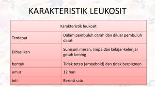 KARAKTERISTIK LEUKOSIT
Karakteristik leukosit
Terdapat
Dalam pembuluh darah dan diluar pembuluh
darah
Dihasilkan
Sumsum merah, limpa dan kelajar-kelenjar
getah bening
bentuk Tidak tetap (amoeboid) dan tidak berpigmen
umur 12 hari
inti Berinti satu
 