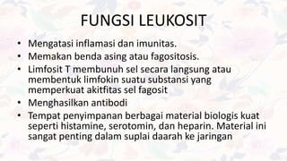 FUNGSI LEUKOSIT
• Mengatasi inflamasi dan imunitas.
• Memakan benda asing atau fagositosis.
• Limfosit T membunuh sel secara langsung atau
membentuk limfokin suatu substansi yang
memperkuat akitfitas sel fagosit
• Menghasilkan antibodi
• Tempat penyimpanan berbagai material biologis kuat
seperti histamine, serotomin, dan heparin. Material ini
sangat penting dalam suplai daarah ke jaringan
 