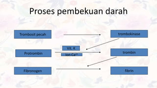 Proses pembekuan darah
Trombosit pecah trombokinase
Protrombin trombin
Fibronogen fibrin
Vit. K
Ion Ca2+
 
