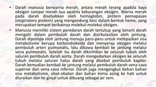 • Darah manusia berwarna merah, antara merah terang apabila kaya
oksigen sampai merah tua apabila kekurangan oksigen. Warna merah
pada darah disebabkan oleh hemoglobin, protein pernapasan
(respiratory protein) yang mengandung besi dalam bentuk heme, yang
merupakan tempat terikatnya molekul-molekul oksigen.
• Manusia memiliki sistem peredaran darah tertutup yang berarti darah
mengalir dalam pembuluh darah dan disirkulasikan oleh jantung.
Darah dipompa oleh jantung menuju paru-paru untuk melepaskan sisa
metabolisme berupa karbondioksida dan menyerap oksigen melalui
pembuluh arteri pulmonalis, lalu dibawa kembali ke jantung melalui
vena pulmonalis. Setelah itu darah dikirimkan ke seluruh tubuh oleh
saluran pembuluh darah aorta. Darah mengedarkan oksigen ke seluruh
tubuh melalui saluran halus darah yang disebut pembuluh kapiler.
Darah kemudian kembali ke jantung melalui pembuluh darah vena cava
superior dan vena cava inferior. Darah juga mengangkut bahan bahan
sisa metabolisme, obat-obatan dan bahan kimia asing ke hati untuk
diuraikan dan ke ginjal untuk dibuang sebagai air seni.
 