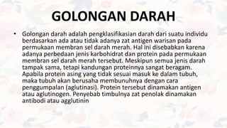 GOLONGAN DARAH
• Golongan darah adalah pengklasifikasian darah dari suatu individu
berdasarkan ada atau tidak adanya zat antigen warisan pada
permukaan membran sel darah merah. Hal ini disebabkan karena
adanya perbedaan jenis karbohidrat dan protein pada permukaan
membran sel darah merah tersebut. Meskipun semua jenis darah
tampak sama, tetapi kandungan proteinnya sangat beragam.
Apabila protein asing yang tidak sesuai masuk ke dalam tubuh,
maka tubuh akan berusaha membunuhnya dengan cara
penggumpalan (aglutinasi). Protein tersebut dinamakan antigen
atau aglutinogen. Penyebab timbulnya zat penolak dinamakan
antibodi atau agglutinin
 