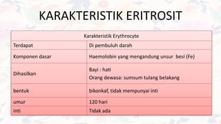 KARAKTERISTIK ERITROSIT
Karakteristik Erythrocyte
Terdapat Di pembuluh darah
Komponen dasar Haemolobin yang mengandung unsur besi (Fe)
Dihasilkan
Bayi : hati
Orang dewasa: sumsum tulang belakang
bentuk bikonkaf, tidak mempunyai inti
umur 120 hari
inti Tidak ada
 