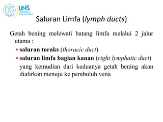 Getah bening melewati batang limfa melalui 2 jalur
utama :
 saluran toraks (thoracic duct)
 saluran limfa bagian kanan (right lymphatic duct)
yang kemudian dari keduanya getah bening akan
dialirkan menuju ke pembuluh vena
Saluran Limfa (lymph ducts)
 