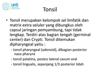 Tonsil
• Tonsil merupakan kelompok sel limfatik dan
matrix extra seluler yang dibungkus oleh
capsul jaringan pemyambung, tapi tidak
lengkap. Terdiri atas bagian tengah (germinal
center) dan Crypti. Tonsil ditemukan
dipharyngeal yaitu :
- tonsil pharyngeal (adenoid), dibagian posterior
naso pharynx
- tonsil palatina, posteo lateral cavum oral
- tonsil lingualis, sepanjang 1/3 posterior lidah
 