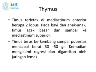 Thymus
• Timus terletak di mediastinum anterior
berupa 2 lobus. Pada bayi dan anak-anak,
timus agak besar dan sampai ke
mediastinum superior.
• Timus terus berkembang sampai pubertas
mencapai berat 30 -50 gr. Kemudian
mengalami regresi dan digantikan oleh
jaringan lemak
 