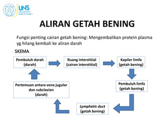 ALIRAN GETAH BENING
Fungsi penting cairan getah bening: Mengembalikan protein plasma
yg hilang kembali ke aliran darah
21
Pembuluh darah
(darah)
Ruang interstitial
(cairan interstitial)
Pertemuan antara vena jugular
dan subclavian
(darah)
Kapiler limfa
(getah bening)
Pembuluh limfa
(getah bening)
Lymphatic duct
(getah bening)
SKEMA
 