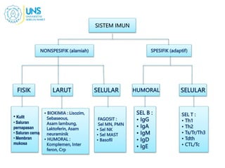SISTEM IMUN
 
