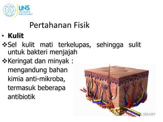 Pertahanan Fisik
• Kulit
Sel kulit mati terkelupas, sehingga sulit
untuk bakteri menjajah
Keringat dan minyak :
mengandung bahan
kimia anti-mikroba,
termasuk beberapa
antibiotik
 
