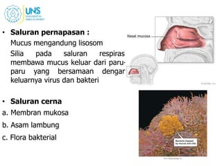 • Saluran pernapasan :
Mucus mengandung lisosom
Silia pada saluran respirasi
membawa mucus keluar dari paru-
paru yang bersamaan dengan
keluarnya virus dan bakteri
• Saluran cerna
a. Membran mukosa
b. Asam lambung
c. Flora bakterial
 