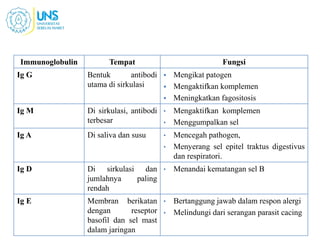 Immunoglobulin Tempat Fungsi
Ig G Bentuk antibodi
utama di sirkulasi
 Mengikat patogen
 Mengaktifkan komplemen
 Meningkatkan fagositosis
Ig M Di sirkulasi, antibodi
terbesar
• Mengaktifkan komplemen
• Menggumpalkan sel
Ig A Di saliva dan susu • Mencegah pathogen,
• Menyerang sel epitel traktus digestivus
dan respiratori.
Ig D Di sirkulasi dan
jumlahnya paling
rendah
• Menandai kematangan sel B
Ig E Membran berikatan
dengan reseptor
basofil dan sel mast
dalam jaringan
• Bertanggung jawab dalam respon alergi
• Melindungi dari serangan parasit cacing
 
