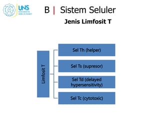 B | Sistem Seluler
Jenis Limfosit T
Limfosit
T
Sel Th (helper)
Sel Ts (supresor)
Sel Td (delayed
hypersensitivity)
Sel Tc (cytotoxic)
 