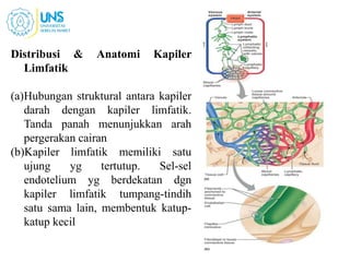 Distribusi & Anatomi Kapiler
Limfatik
(a)Hubungan struktural antara kapiler
darah dengan kapiler limfatik.
Tanda panah menunjukkan arah
pergerakan cairan
(b)Kapiler limfatik memiliki satu
ujung yg tertutup. Sel-sel
endotelium yg berdekatan dgn
kapiler limfatik tumpang-tindih
satu sama lain, membentuk katup-
katup kecil
8
 