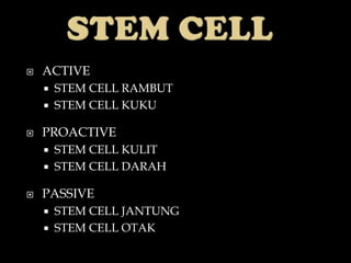   ACTIVE
       STEM CELL RAMBUT
       STEM CELL KUKU

   PROACTIVE
       STEM CELL KULIT
       STEM CELL DARAH

   PASSIVE
       STEM CELL JANTUNG
       STEM CELL OTAK
 