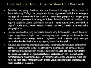    Penelitian baru yang dilakukan oleh para ilmuwan di bidang kedokteran hewan di
    Royal Veterinary College mengungkapkan bahwa regenerasi tanduk rusa mungkin
    menggunakan stem cells & menunjukkan mekanisme yang serupa dengan yang
    terjadi dalam pertumbuhan anggota tubuh. Penelitian ini dapat membawa kita
    kepada keajaiban dalam pengobatan manusia : kemampuan untuk memulihkan
    organ2 tubuh yang rusak karena trauma, penyakit, kanker atau operasi /
    pengangkatan.
   Banyak binatang lain yang merupakan species yang lebih rendah, seperti kadal air,
    dapat memperbaharui bagian tubuh mereka yang rusak, tetapi pertumbuhan tanduk
    rusa adalah satu-satunya contoh regenerasi dari mamalia yang mampu
    menumbuhkan kembali organ-organ yang besar dan kompleks.
   Hasil dari penelitian tsb. membuktikan bahwa, pertumbuhan tanduk rusa berdasarkan
    stem cell. Pertumbuhan tanduk rusa tampaknya dipengaruhi oleh stimulasi tertentu
    dari stem cell yang diperlukan, yang ada di sekitarnya. Jika kita dapat memahami
    bagaimana rusa telah mengadaptasi fungsi pertumbuhan yang normal, yaitu
    memperbaharui dan memperbaiki sel menjadi suatu organ yang utuh, maka kita
    mungkin juga dapat mengupayakan proses yang sama terhadap jaringan yang
    rusak dari tubuh manusia.
 