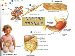 DOKTER
TERBAIK
 