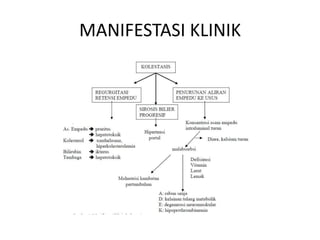 MANIFESTASI KLINIK

 