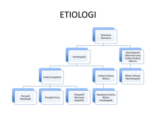 ETIOLOGI
Kolestasis
Neonatus

Ekstrahepatik
(Obstruksi atau
Cedera Duktus
Biliaris)

Intrahepatik

Cedera Duktus
Biliaris

Cedera hepatosit

Penyakit
Metabolik

Penyakit Virus

"Idiopatik"
Neonatal
Hepatitis

Hipoplasia Duktus
Biliaris
Intrahepatik

Biliaris Atresia
Ekstrahepatik

 