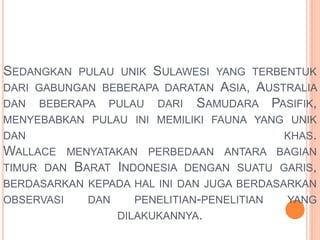 SEDANGKAN PULAU UNIK SULAWESI YANG TERBENTUK 
DARI GABUNGAN BEBERAPA DARATAN ASIA, AUSTRALIA 
DAN BEBERAPA PULAU DARI SAMUDARA PASIFIK, 
MENYEBABKAN PULAU INI MEMILIKI FAUNA YANG UNIK 
DAN KHAS. 
WALLACE MENYATAKAN PERBEDAAN ANTARA BAGIAN 
TIMUR DAN BARAT INDONESIA DENGAN SUATU GARIS, 
BERDASARKAN KEPADA HAL INI DAN JUGA BERDASARKAN 
OBSERVASI DAN PENELITIAN-PENELITIAN YANG 
DILAKUKANNYA. 
