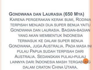 GONDWANA DAN LAURASIA (650 MYA) 
KARENA PERGERAKAN KERAK BUMI, RODINIA 
TERPISAH MENJADI DUA SUPER BENUA YAITU 
GONDWANA DAN LAURASIA. BAGIAN-BAGIAN 
YANG AKAN MEMBENTUK INDONESIA 
TERMASUK KE DALAM SUPER BENUA 
GONDWANA, JUGA AUSTRALIA. PADA MASA INI 
PULAU PAPUA SUDAH TERPISAH DARI 
AUSTRALIA. SEDANGKAN PULAU-PULAU 
LAINNYA DARI INDONESIA MASIH TERGABUNG 
DALAM CRATON CHINA UTARA. 
 