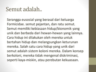 SEMUT DAN PENGENDALIANNYA | PPTX