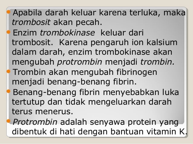 Presentasi sistem peredaran darah
