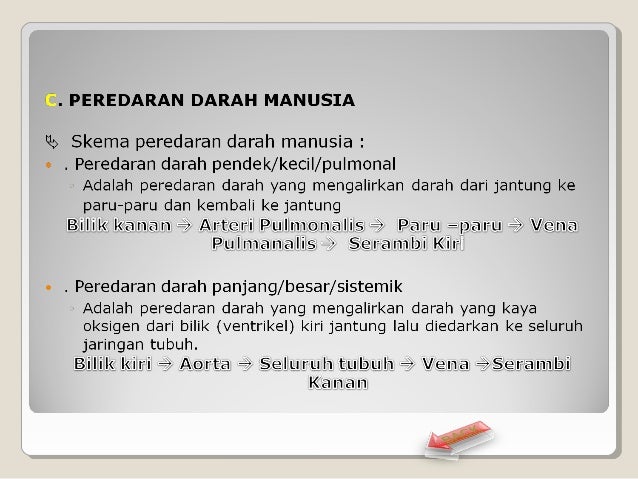 Bisnis Digital Indonesia Pantun Kesehatan Jantung