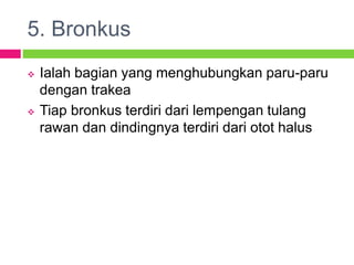 5. Bronkus
 Ialah bagian yang menghubungkan paru-paru
dengan trakea
 Tiap bronkus terdiri dari lempengan tulang
rawan dan dindingnya terdiri dari otot halus
 