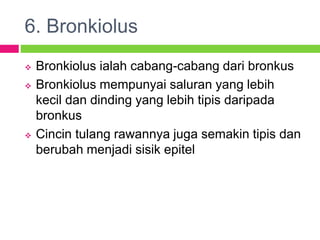 6. Bronkiolus
 Bronkiolus ialah cabang-cabang dari bronkus
 Bronkiolus mempunyai saluran yang lebih
kecil dan dinding yang lebih tipis daripada
bronkus
 Cincin tulang rawannya juga semakin tipis dan
berubah menjadi sisik epitel
 