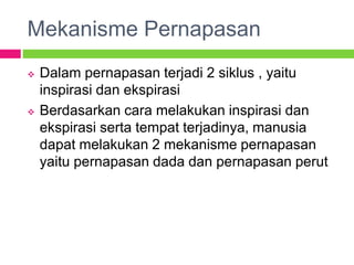 Mekanisme Pernapasan
 Dalam pernapasan terjadi 2 siklus , yaitu
inspirasi dan ekspirasi
 Berdasarkan cara melakukan inspirasi dan
ekspirasi serta tempat terjadinya, manusia
dapat melakukan 2 mekanisme pernapasan
yaitu pernapasan dada dan pernapasan perut
 
