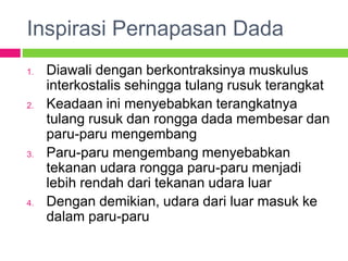 Inspirasi Pernapasan Dada
1. Diawali dengan berkontraksinya muskulus
interkostalis sehingga tulang rusuk terangkat
2. Keadaan ini menyebabkan terangkatnya
tulang rusuk dan rongga dada membesar dan
paru-paru mengembang
3. Paru-paru mengembang menyebabkan
tekanan udara rongga paru-paru menjadi
lebih rendah dari tekanan udara luar
4. Dengan demikian, udara dari luar masuk ke
dalam paru-paru
 