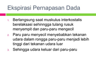 Ekspirasi Pernapasan Dada
1. Berlangsung saat muskulus interkostalis
berelaksasi sehinngga tulang rusuk
menyempit dan paru-paru mengecil
2. Paru paru menyecil menyebabkan tekanan
udara dalam rongga paru-paru menjadi lebih
tinggi dari tekanan udara luar
3. Sehingga udara keluar dari paru-paru
 