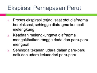 Ekspirasi Pernapasan Perut
1. Proses ekspirasi terjadi saat otot diafragma
berelaksasi, sehingga diafragma kembali
melengkung
2. Keadaan melengkungnya diafragma
mengakibatkan rongga dada dan paru-paru
mengecil
3. Sehingga tekanan udara dalam paru-paru
naik dan udara keluar dari paru-paru
 