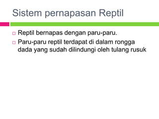 Sistem pernapasan Reptil
 Reptil bernapas dengan paru-paru.
 Paru-paru reptil terdapat di dalam rongga
dada yang sudah dilindungi oleh tulang rusuk
 