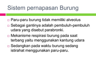 Sistem pernapasan Burung
 Paru-paru burung tidak memiliki alveolus
 Sebagai gantinya adalah pembuluh-pembuluh
udara yang disebut parabronki.
 Mekanisme respirasi burung pada saat
terbang yaitu menggunakan kantung udara
 Sedangkan pada waktu burung sedang
istirahat menggunakan paru-paru.
 