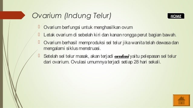 Biologi : Sistem Reproduksi Manusia