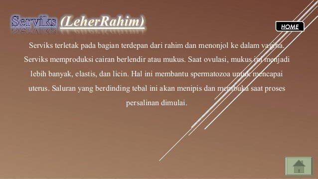 Biologi Sistem Reproduksi Manusia Biologi Sistem Reproduksi Manusia