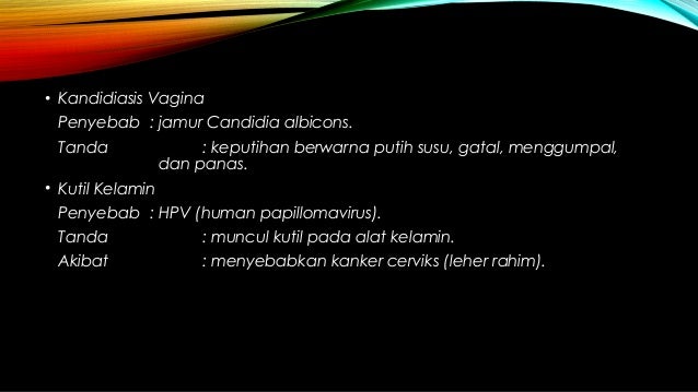 Biologi : Sistem Reproduksi Manusia